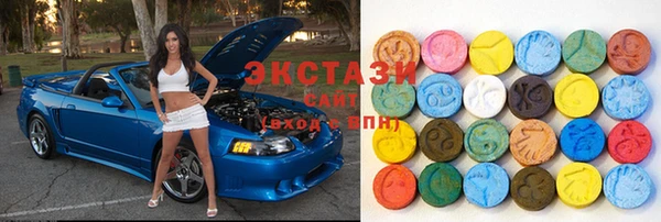 индика Горнозаводск