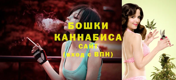 сатива Богородицк