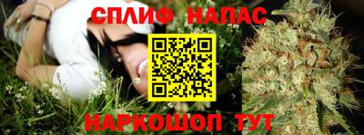 прущие грибы Волгодонск